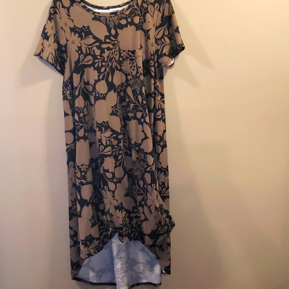 LuLaRoe Carly Dress